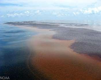 800 mile oil spill alaska