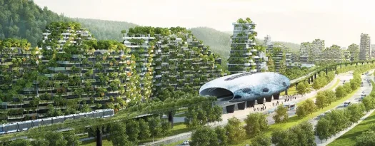 tree city and metro 1